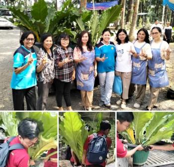 Wanita Katolik RI DPC Tanjungkarang Hijaukan Asilo Hermelink, Wujudkan Semangat Ardas Tahun IX Keuskupan Tanjungkarang